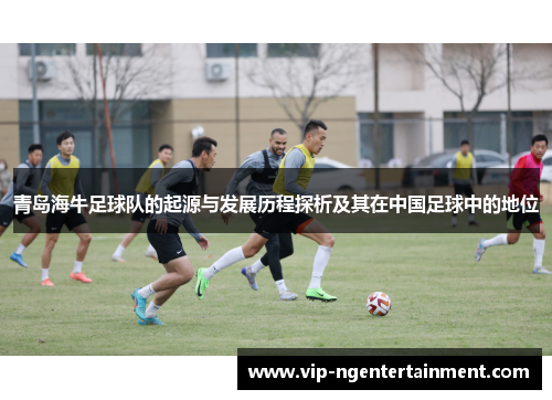 青岛海牛足球队的起源与发展历程探析及其在中国足球中的地位
